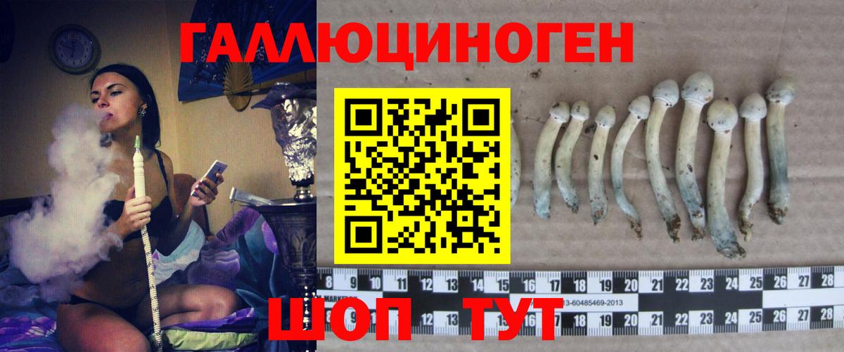Галлюциногенные грибы ЛСД Балабаново